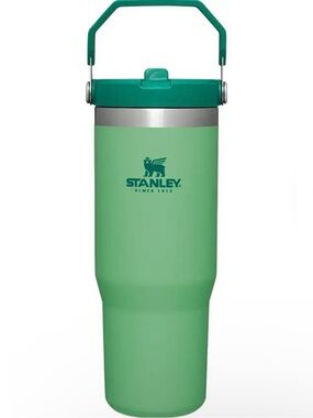 Stanley Jade Green 30 oz Iceflow Flip Straw Tumbler NWT